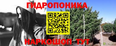 таблы Уссурийск