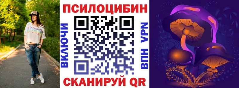 Галлюциногенные грибы Psilocybe  Ангарск 