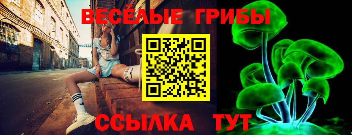 Псилоцибиновые грибы Psilocybe  Вход с VPN  Ангарск 